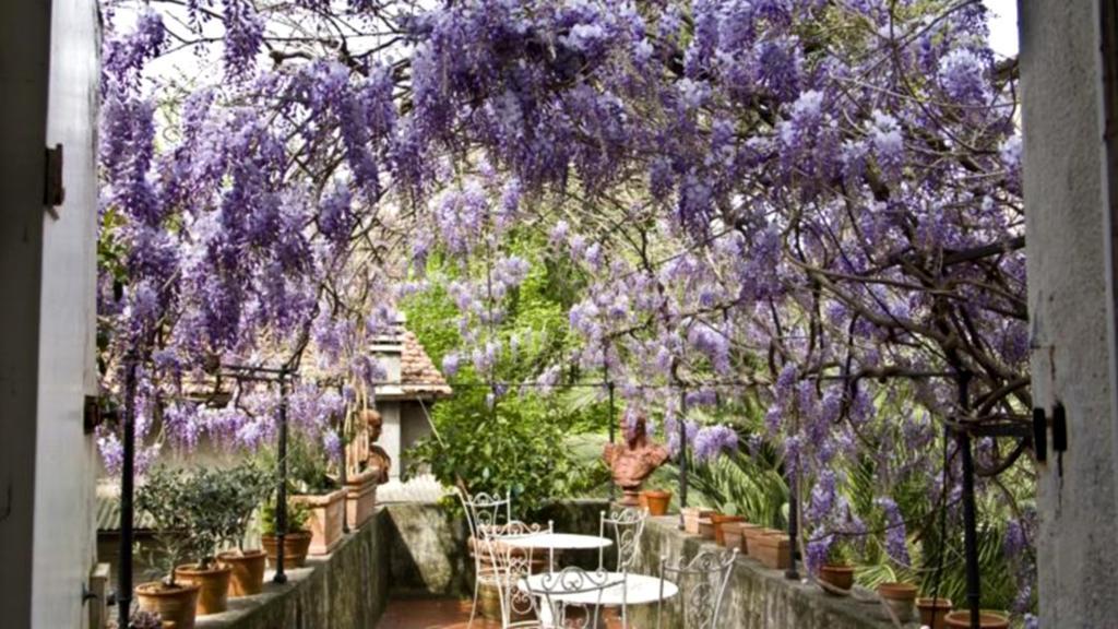 Locanda Sant' Agostino لوكا المظهر الخارجي الصورة